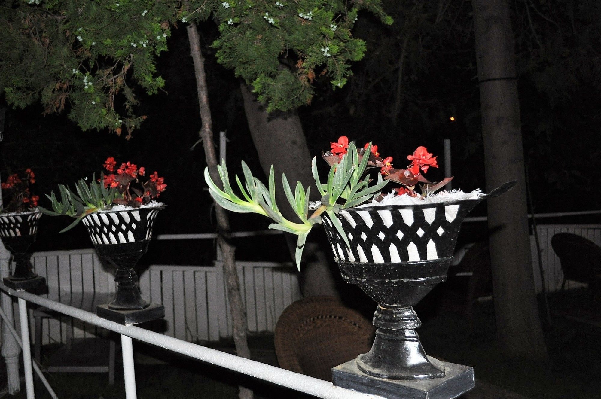 Syedra Princess Hotel Mahmutlar Esterno foto